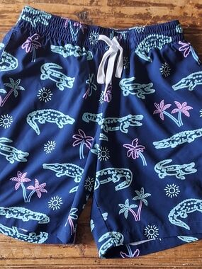 chubbies Mens Navy and Light Blue Swim Trunks Small